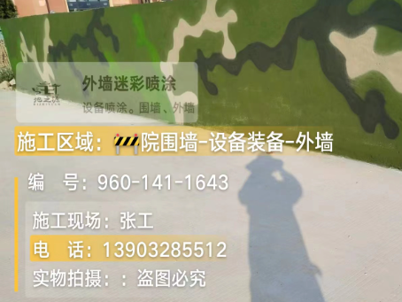 迪庆 迷彩漆喷涂价格（按平方米计费）
