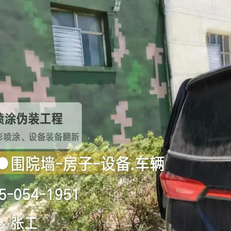 迪庆数码迷彩漆施工